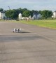 Giant Scale RC Jet Crashes Into Telephone Pole