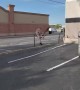 Goose Aggressively Guards Dropped Keys