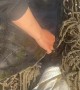 Rescuing a Turtle Trapped in a Net