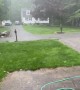 Unsuspecting Lightning Strike