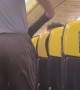 Airline Passenger Wears His Suitcase Onboard