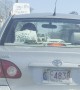 Driver Waves "Show Me Your Green Card" Sign Outside Vehicle
