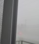 Powerful Winds Buffet London, Ontario Neighborhood During Severe Storm