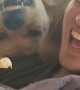 Goofy Golden Begs For Dad's Snacks