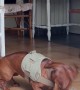 Dachshund Sneezes and Immediately Locks Back In