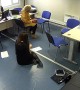 Woman's Feet Tangle In Computer Wires