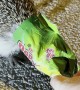 Hedgehog Head Freed From Snack Bag