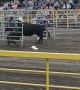 Cowboy Ends Up on Bull's Bad Side