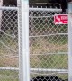 Black Bear Family Climbs Over Military Base Fence