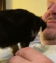 Puppy Pauses Playtime For Potty Break