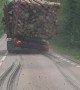 Timber Truck Lets Logs Spill Onto Road