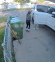 Jumping Malinois Can't Teleport Through Truck Door
