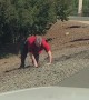 Fight Between Drivers Caught on Camera