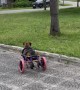 Running Dog In Wheelchair Tumbles Over Curb