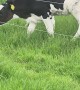 Two Factor Verification on the Farm
