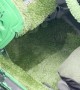 Car Covered With Grass