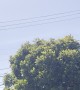 I Built a Ceiling Projection Mapping of the Planes Flying Over My House
