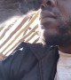 Baboon Meticulously Grooms Man