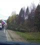 Tree Falls Right In Front of Moving Vehicle