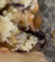 Snail Found Inside Blueberry Muffin