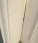Golden Retriever Puppies Pile Out From Opened Door