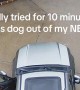 Strange Wet Dog Climbs Into Unattended Car