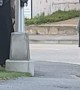 Woman Spotted Walking Her Pet Pig