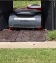 Robot Lawn Mowers Have Their Own Door
