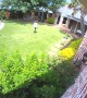 Dog Nudges Mom to Watch His Cannonball