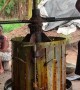 Palm Oil Production in Nigeria