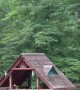 Bear Family Enjoys Playground