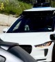 Dog Rides Solo in the Front Seat