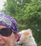 Dog Rides in Backpack With Googley Eye Goggles on Motorcycle