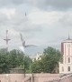 Collective Rescue of a Bird With a Wing Stuck on a Fishing Line