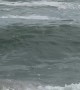 Fisherman Chases Catch Into the Ocean
