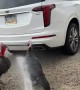 Turkeys Unphased By Neighbor Spraying Water