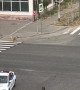 Police Rescue Woman From Pack of Wild Dogs