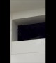 Cat Stares Menacingly From Window Sill