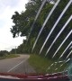 Tree Falls Right in Front of Moving Vehicle