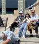 Man With His Cute Dogs
