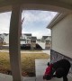 Dad Reflexes Versus Daughter's Puke