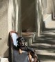 Mini Dachshund Spotted Sitting in Mini Armchair