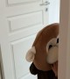 Little Monkey Hits a Wall