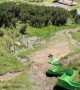 Sheltie Goes Down Giant Slide