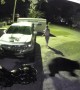 Bear Catches Man Off-Guard in His Driveway