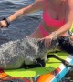 Girls on Paddleboards Save Drowning Lamb