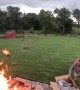 Surprise Explosion While Burning Boxes