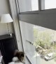 Sheltie's Nemesis, the Window-Washing Broom
