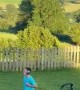 Lawn Mowing and Michael Jackson Moves