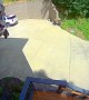 Family Finds Bear Cubs Inside SUV